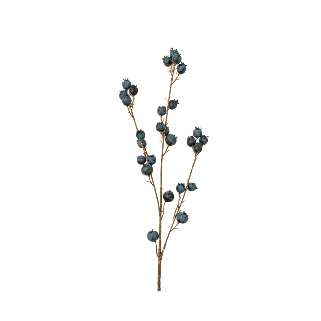 Blueberry Branch