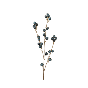Blueberry Branch