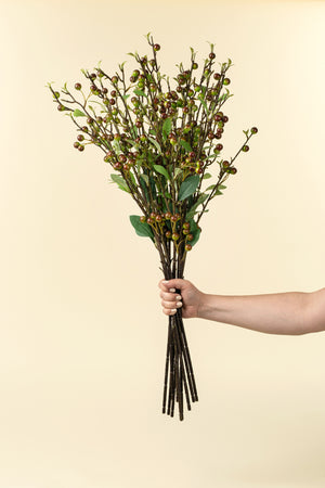 Hypericum Berry Spray