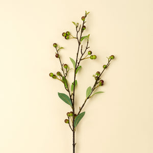 Hypericum Berry Spray