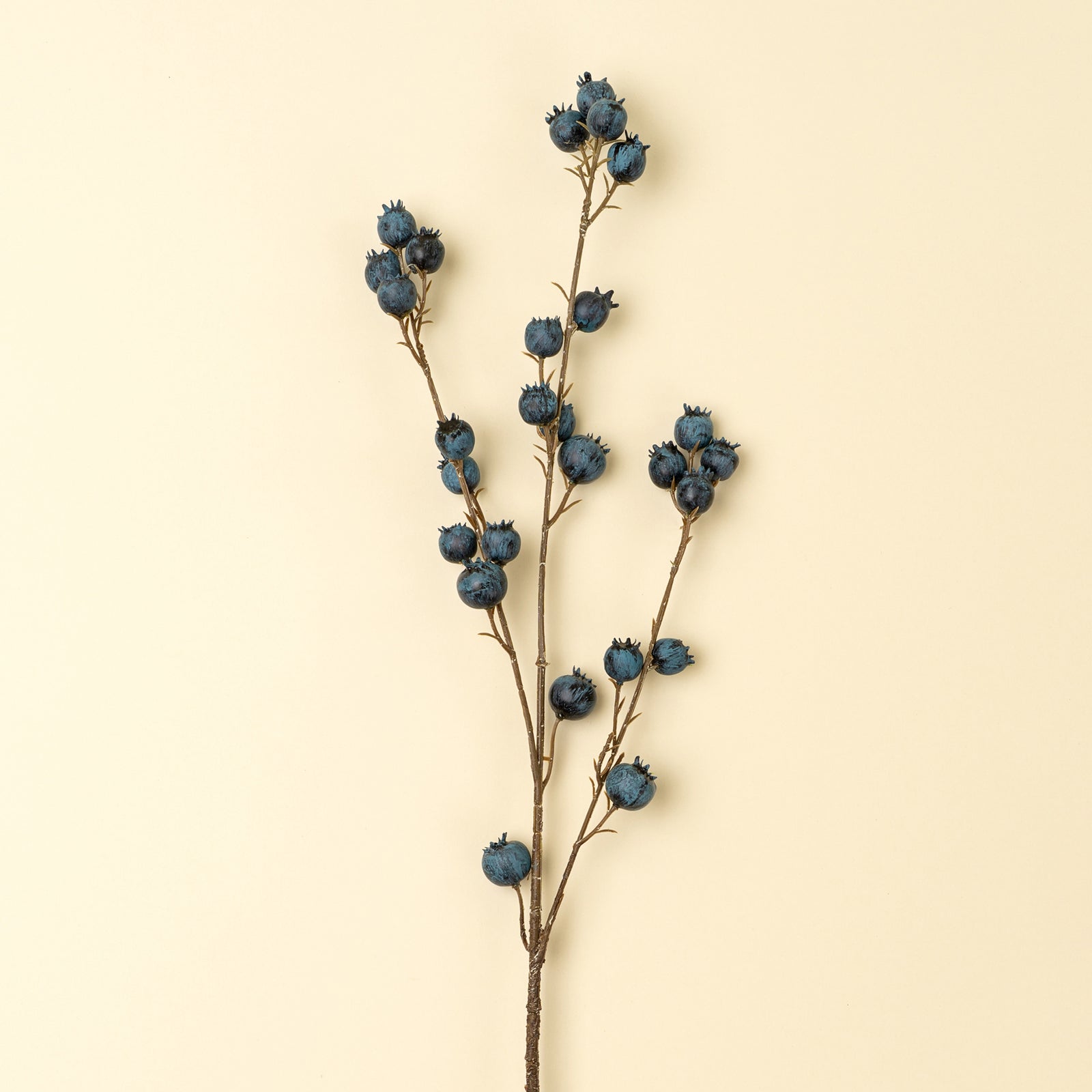 Blueberry Branch