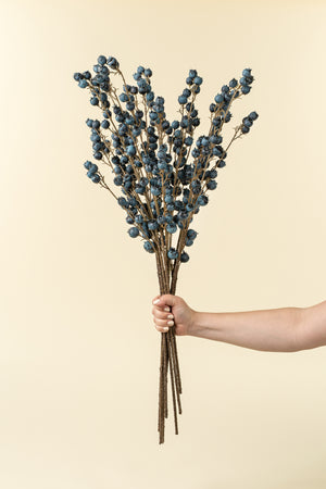 Blueberry Branch