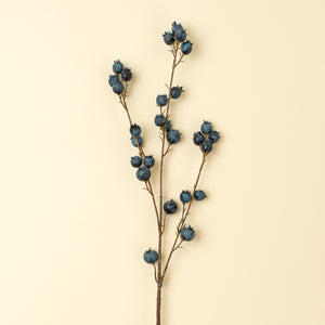 Blueberry Branch