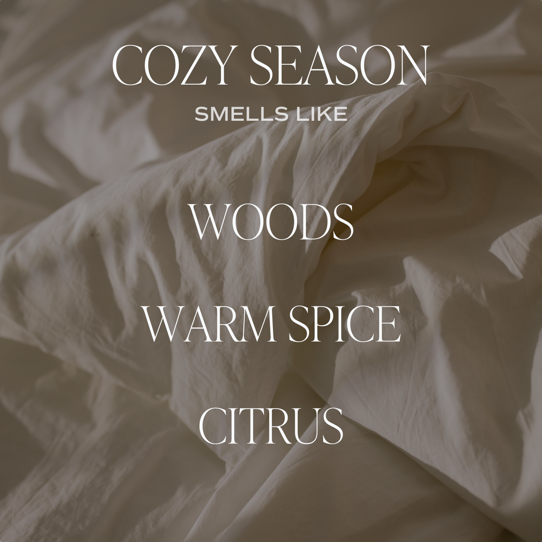 Cozy-Season-12-oz-Soy-Candle-Black-SweetwaterDecor-Willows-Box-Gifting-Studio