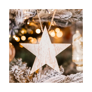 Crawford-Creek-Holiday-Star-Ornament-Willows-Box-Gifting-Studio