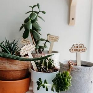 Funny_Plant_Lovers_Stakes_Grow_and_Co_Willows_Box_Canadian_Gifting_Studio