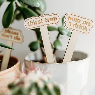 Funny_Plant_Lovers_Stakes_Grow_and_Co_Willows_Box_Gifting_Studio