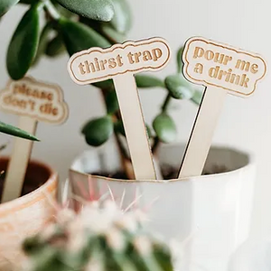 Funny_Plant_Lovers_Stakes_Grow_and_Co_Willows_Box_Gifting_Studio