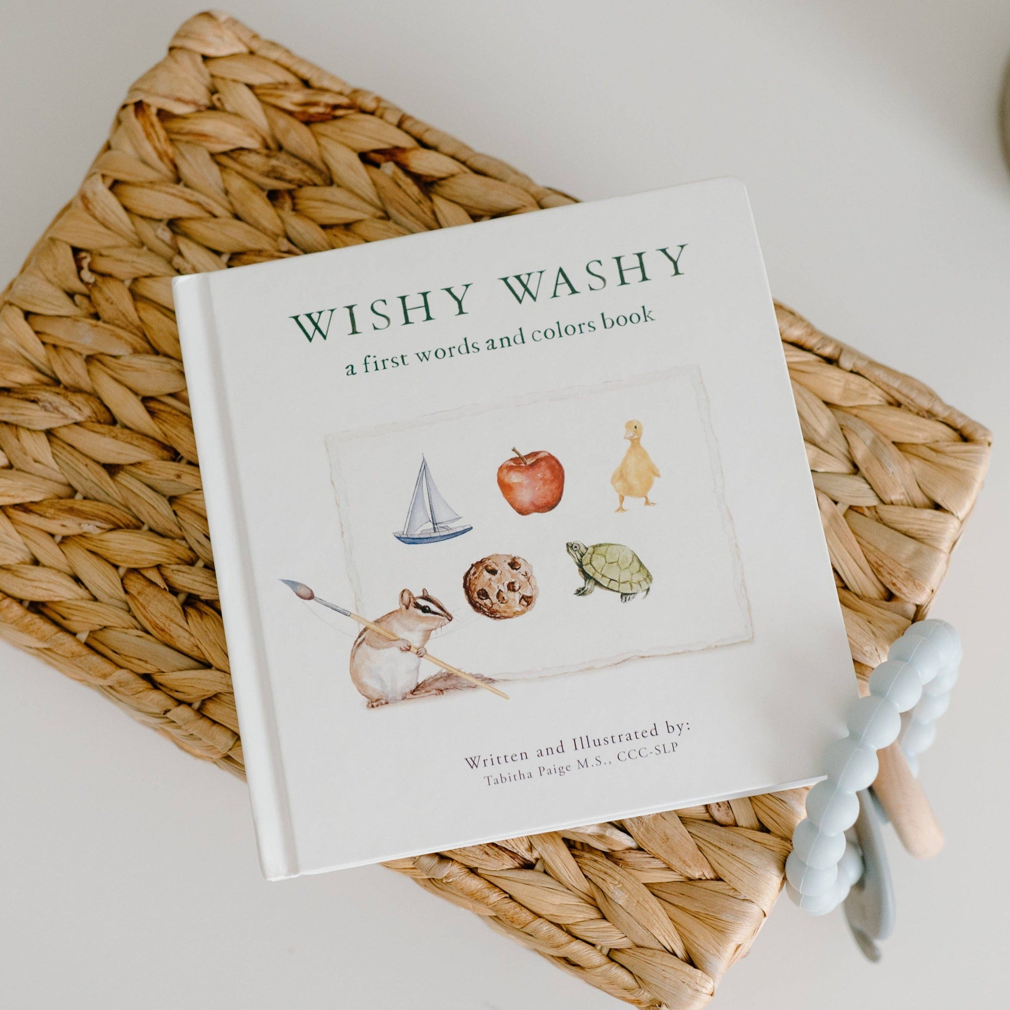 Wishy-Washy-A-Board-Book-of-First-Words-and-Colors-Willows-Box-Gifting-Studio