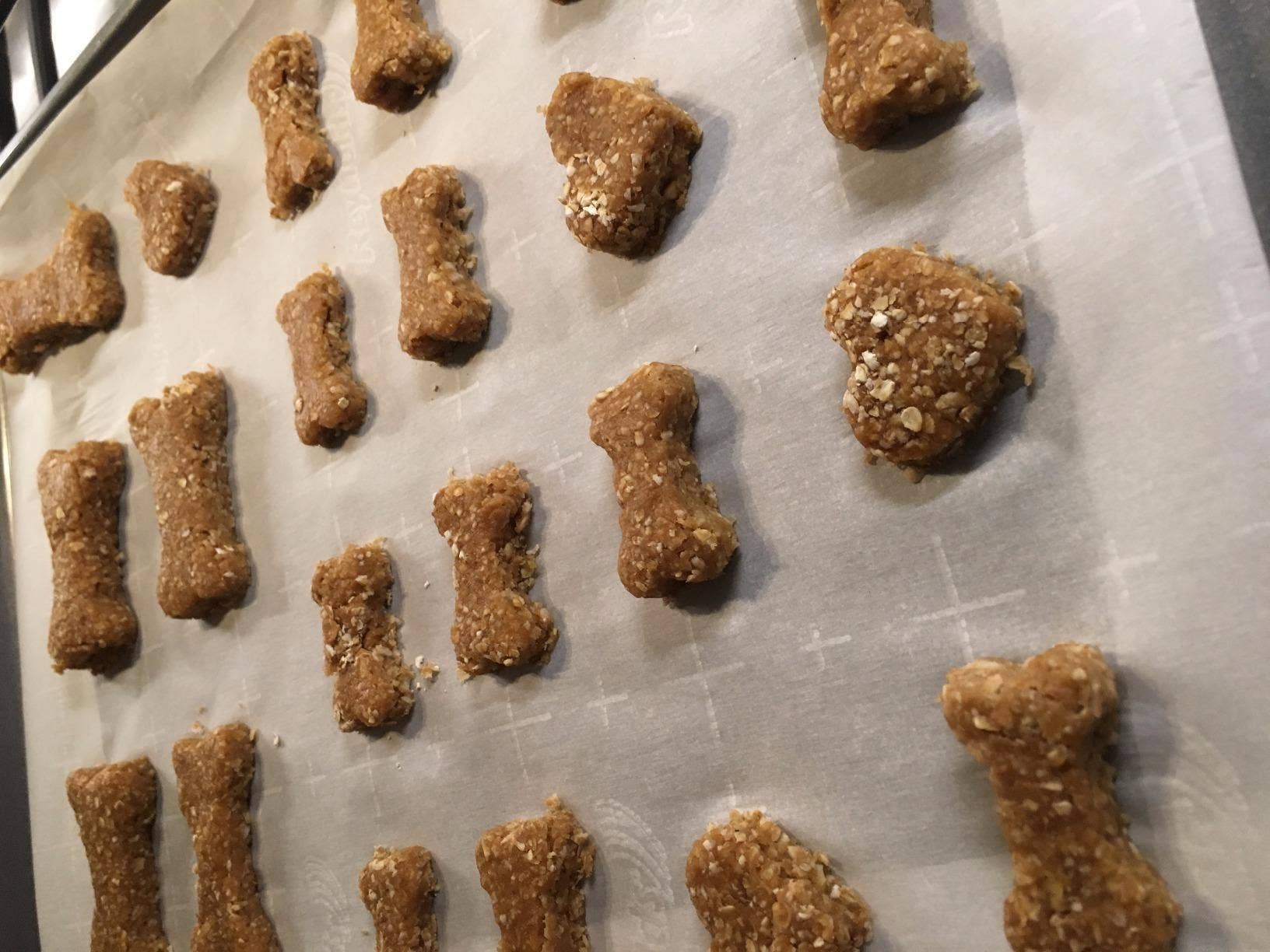 DOGGIE TREAT KIT 4 Pc Set