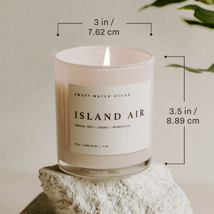 Warm and Cozy 11 oz Soy Candle
