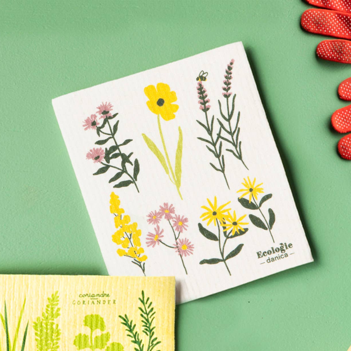 Gardening tools and plant identification cards on a green background