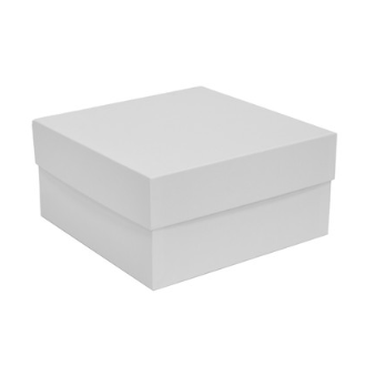 White cardboard box on a white background